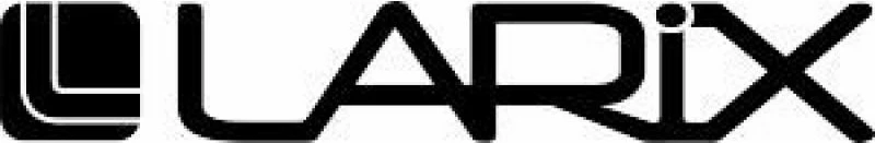 Shorce plazhi për meshkuj Protest, gri