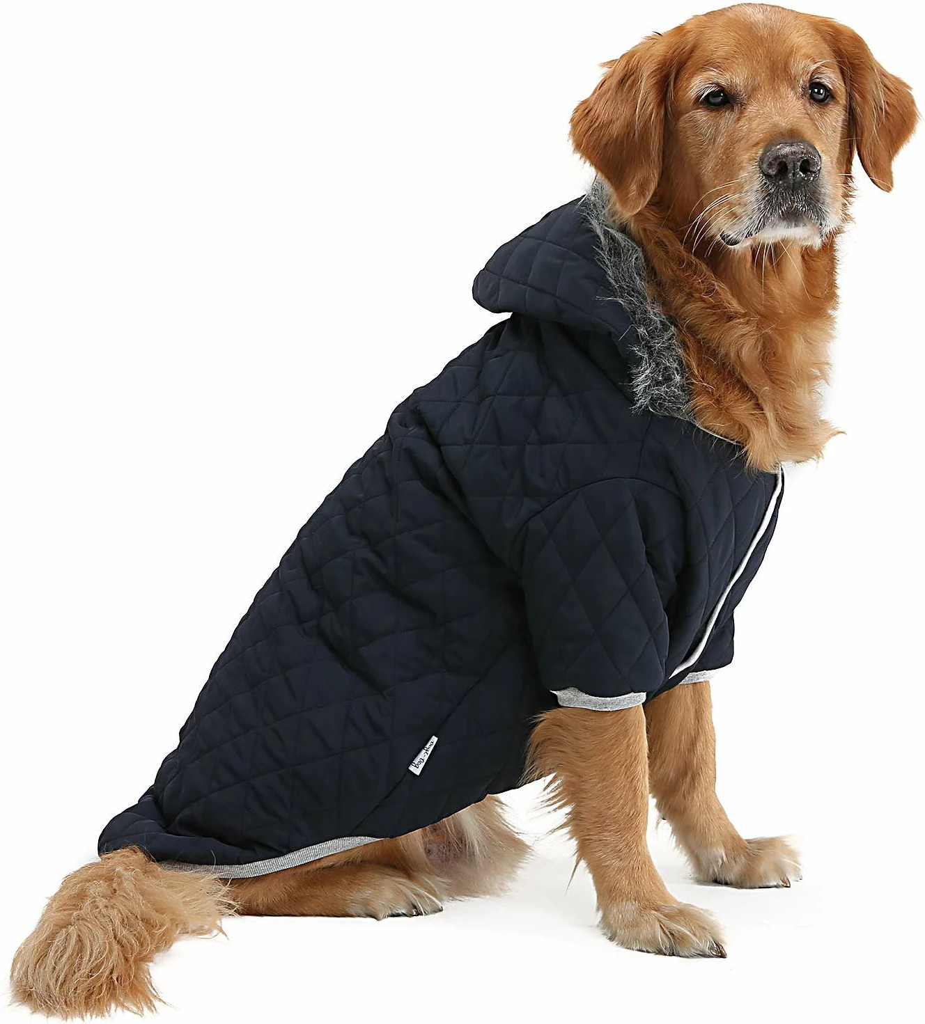 Bluzë me kapuç për qen, ngjyrë navy blue, Paws & Whiskers, 3XL