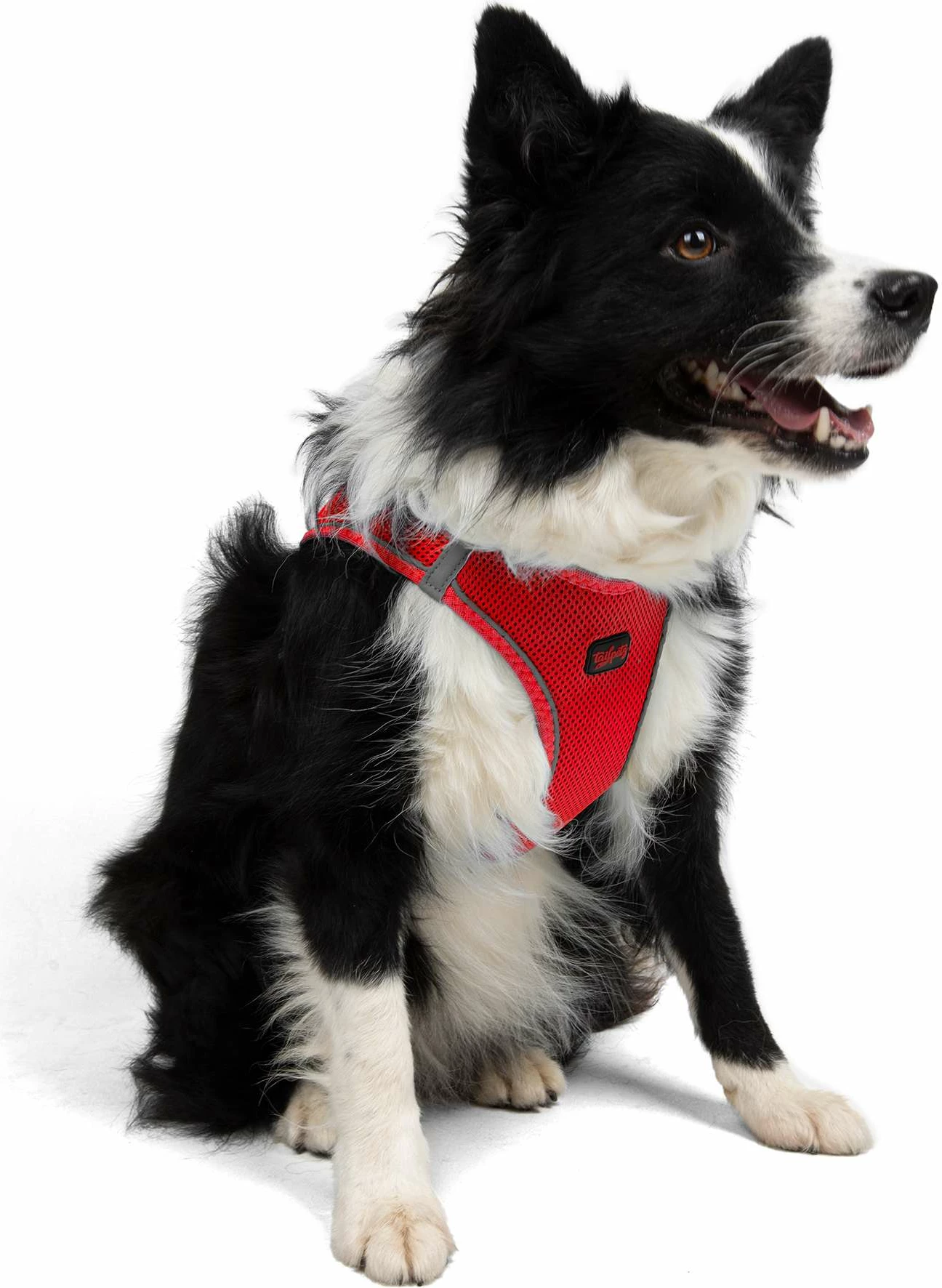Parzmore për qen, Air-Mesh, ngjyrë garnet, Paws & Whiskers, XL
