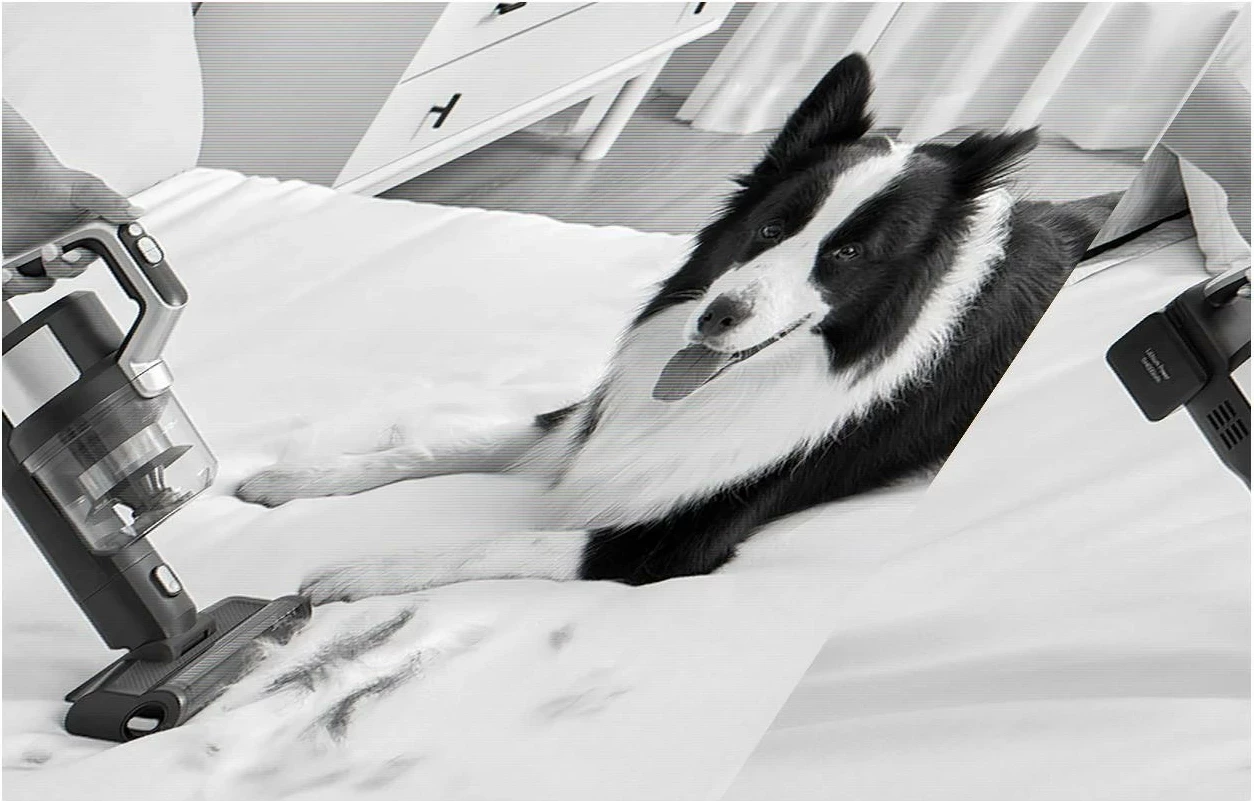 Fshesë elektrike JIMMY PW11 Pro 4w1, 4600 mAh, argjendtë-zi