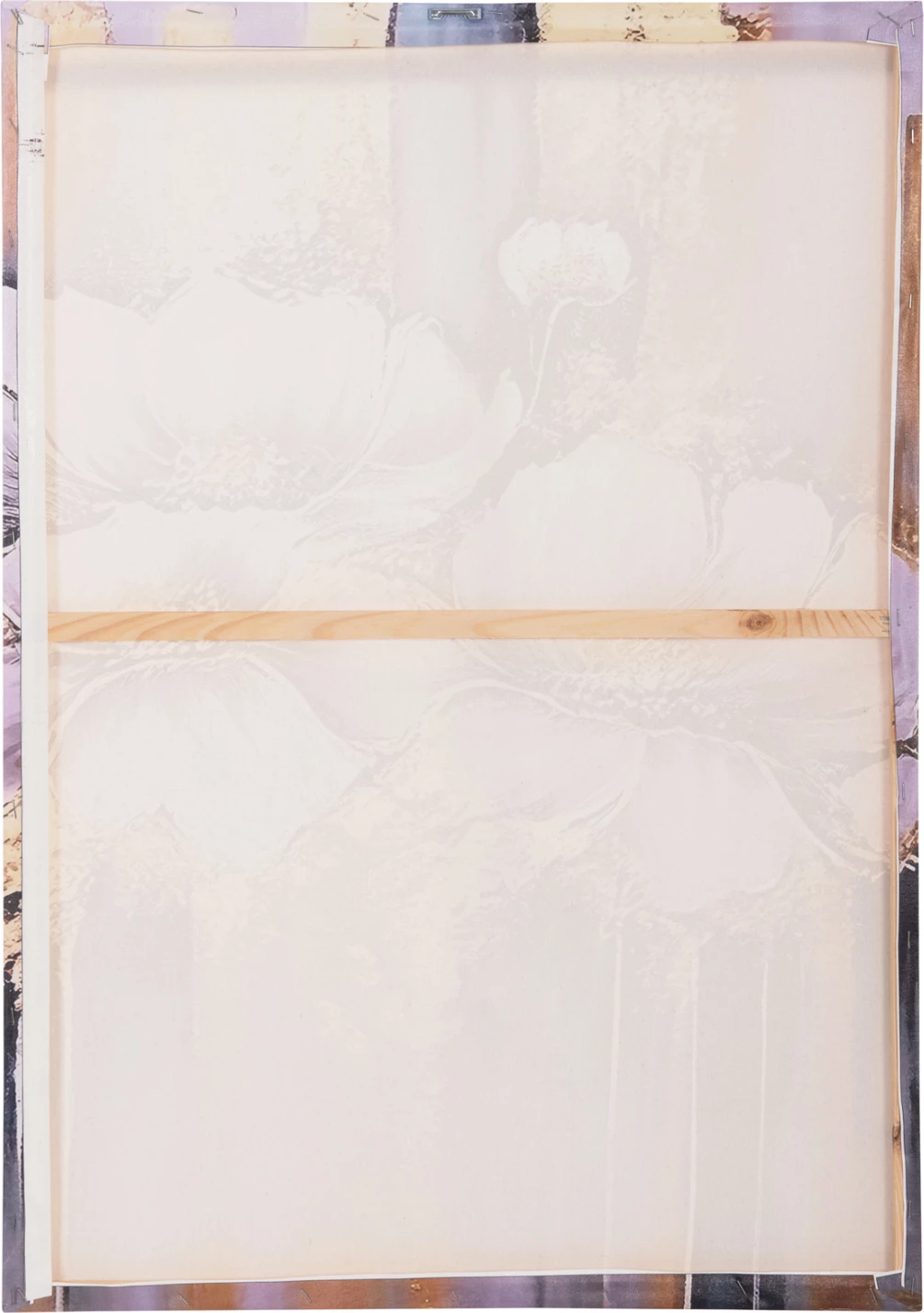 Pikturë muri GOBI FH4858, kanavacë e printuar, 68x2.5x78cm
