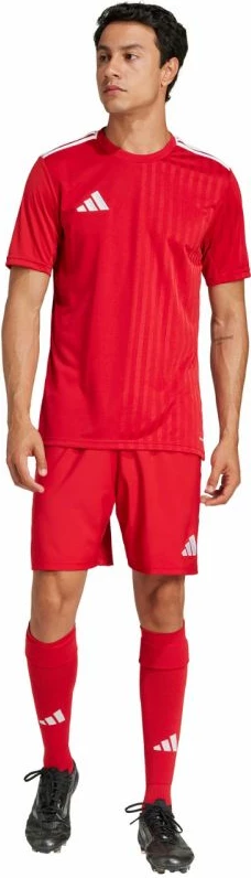 Fanellë futbolli për meshkuj adidas, e kuqe [Madhësia: M]