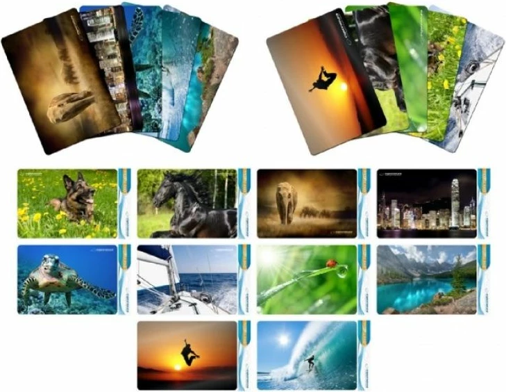 Mouse pad Esperanza, multicolor
