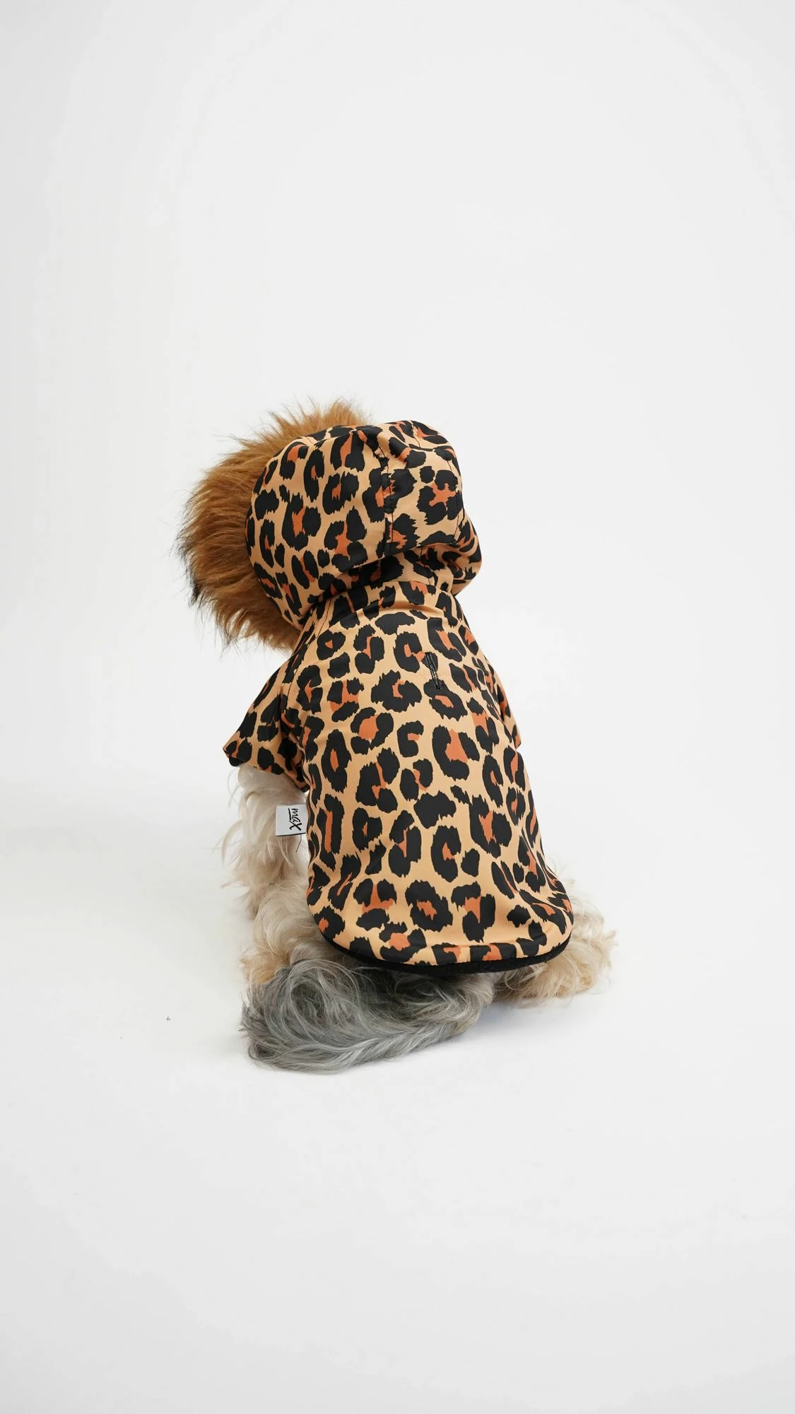 Bluzë me kapuç për qen, leopard, shumëngjyrëshe, Paws & Whiskers, XL