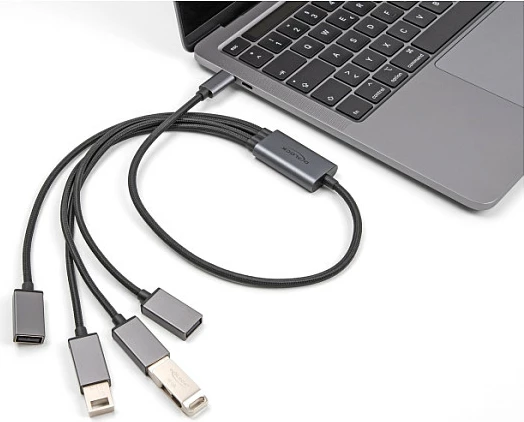 USB hub DeLOCK 4-port USB 2.0, USB-C në 4x USB-A, kabllo 0.6 m, metal, zi/gri
