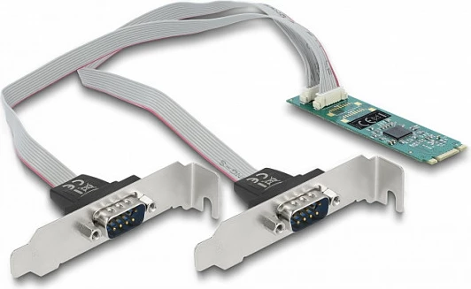 Kartë M.2 DeLOCK 2x Serial RS-232 DB9, PCIe 2.1, me braketa standard/low profile
