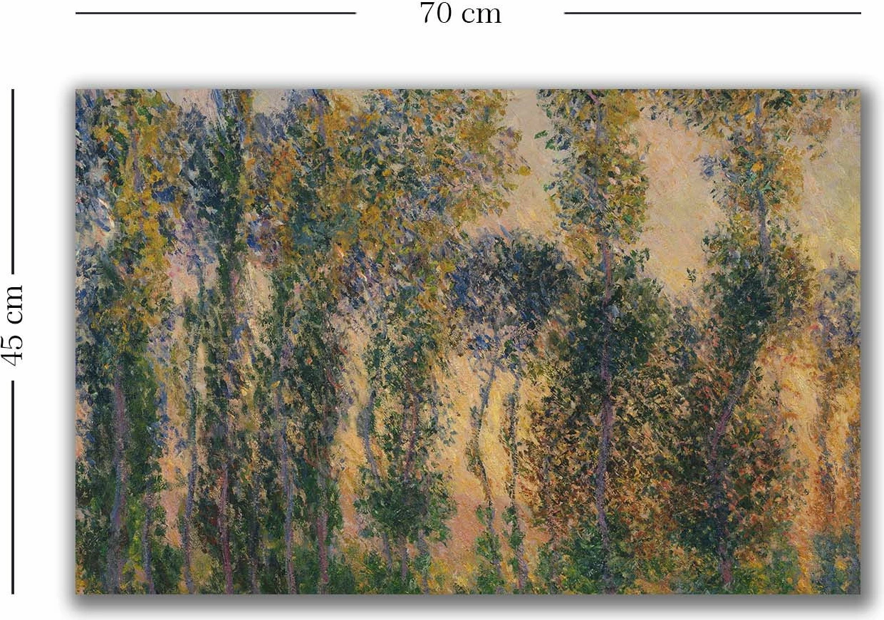 Pikturë dekorative në kanavacë, shumëngjyrëshe, Monet, 45x70cm