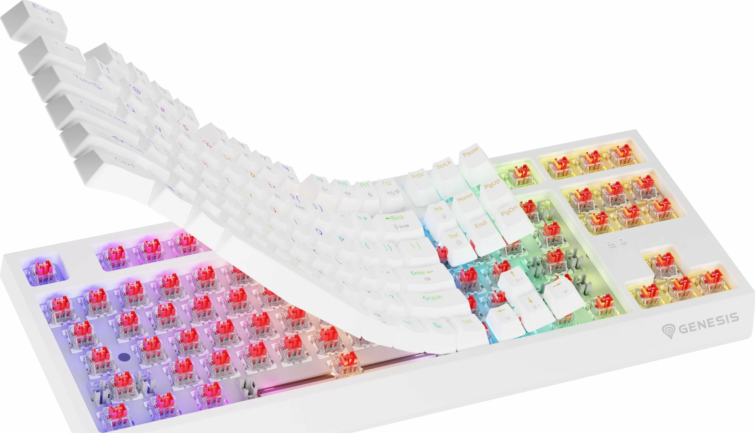 Tastierë gaming mekanike GENESIS Thor 230 TKL Wireless (NKG-2165), Outemu Red, RGB, USB/Bluetooth/2.4GHz, e bardhë