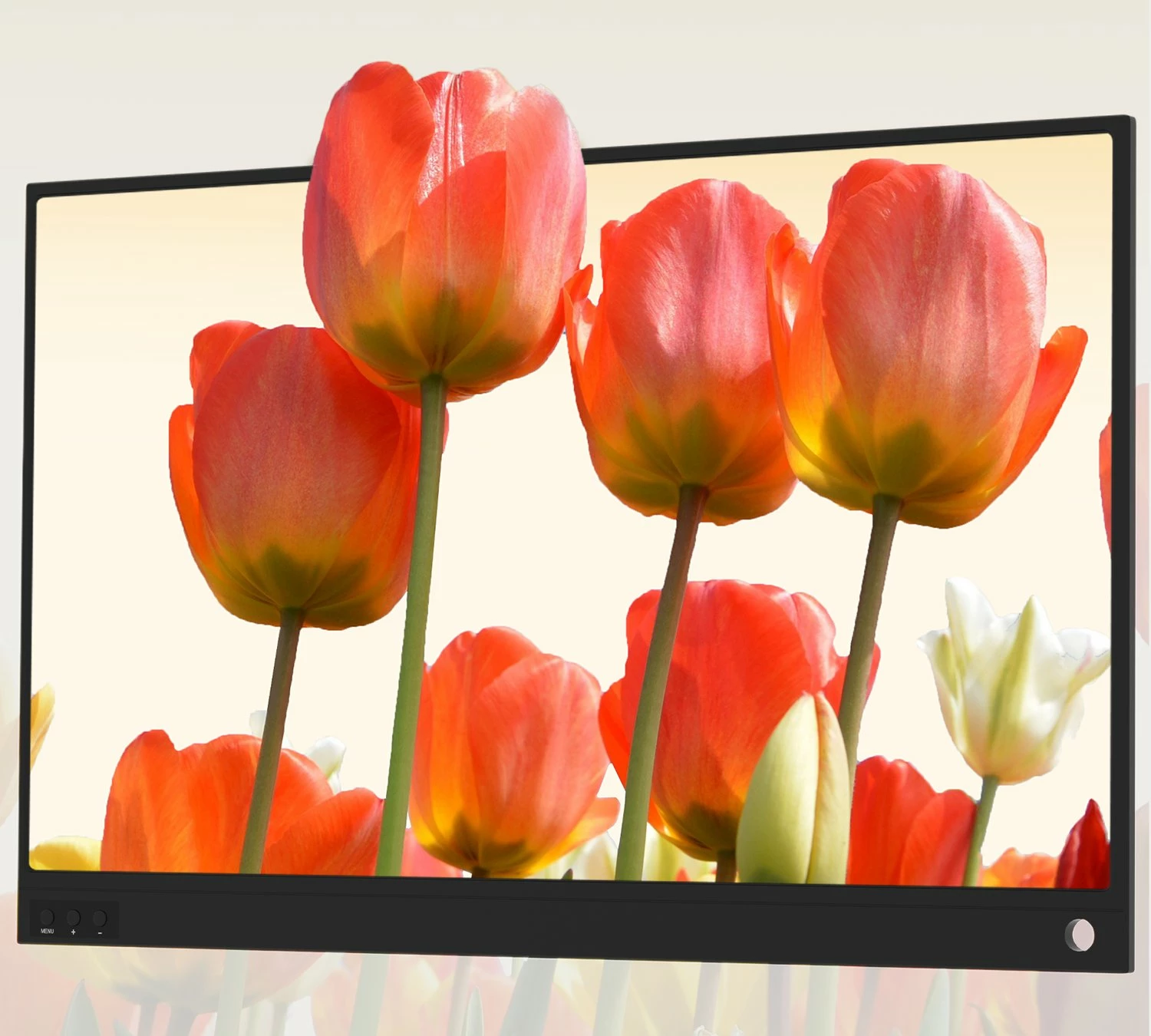 Monitor portativ Zeuslap P15A 15.6\" Full HD IPS 60Hz, zi