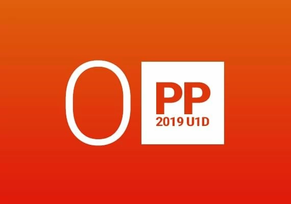 MS Office Professional Plus 2019 Global