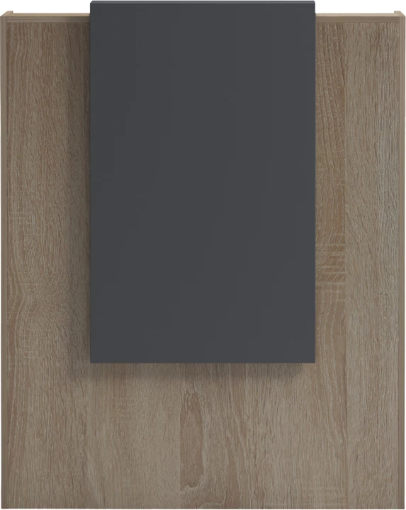 Banak pritjeje Zowel me LED, ngjyrë sonoma-antracit, 90x40x110cm