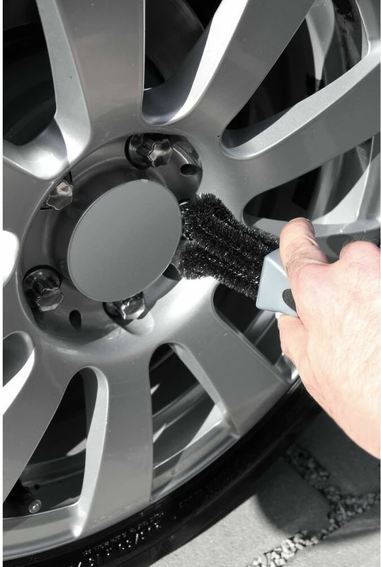 Brushe Pastruese Per Fellne