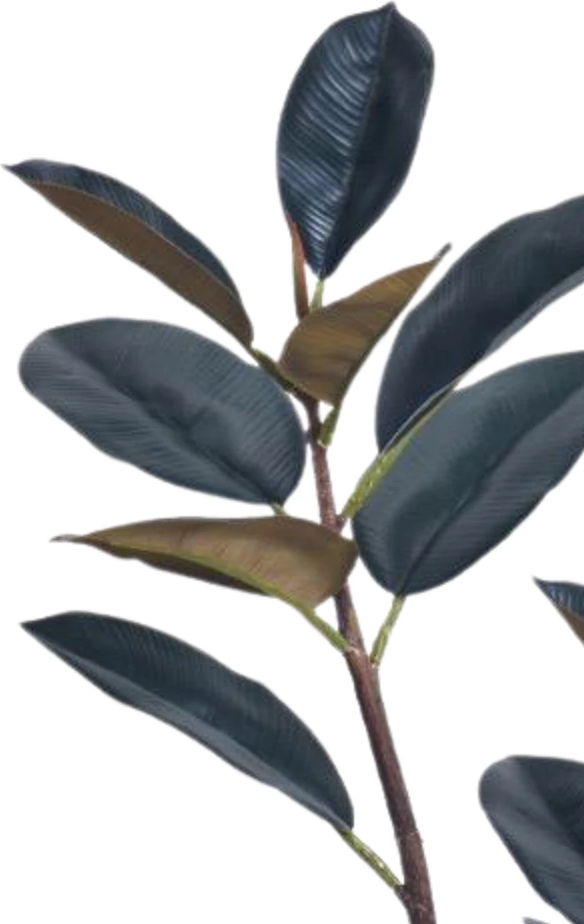 Bimë artificiale Dark Rubber Tree, 90 cm