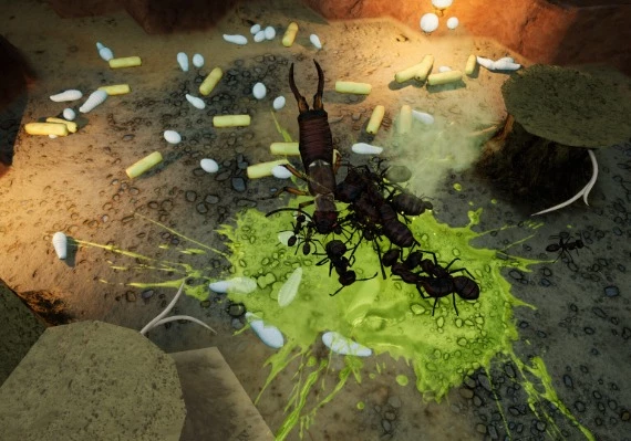 Empires of the Undergrowth - Exploding Ants DLC EN/DE/RU/ZH/ES Global