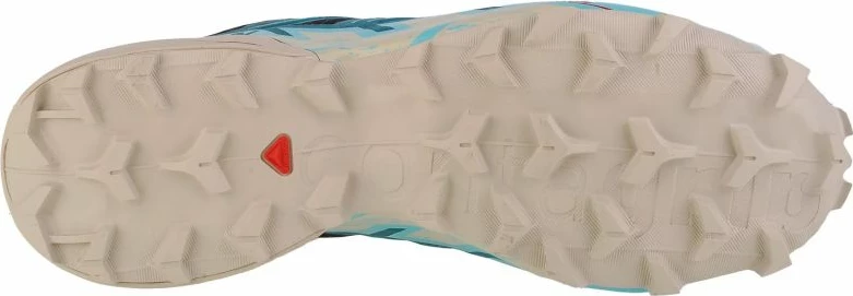 Atlete për meshkuj Salomon, të kaltërta