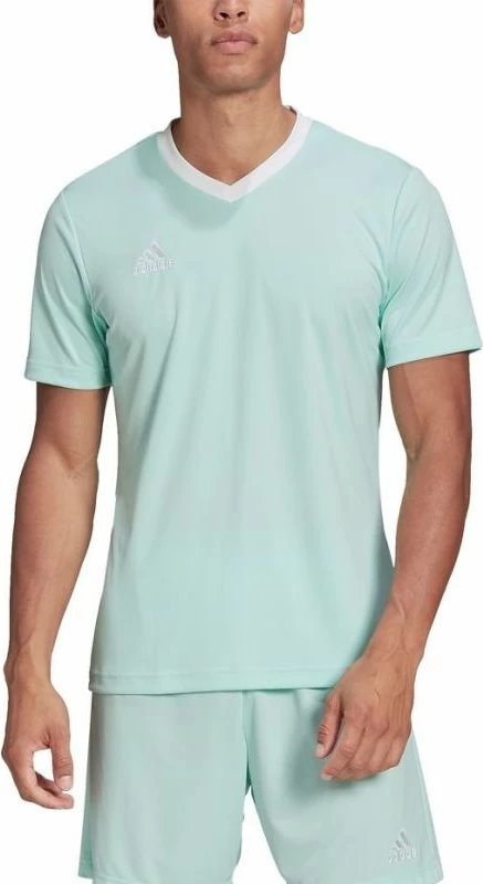 Maicë adidas për meshkuj, e gjelbër [Madhësia: XXL]