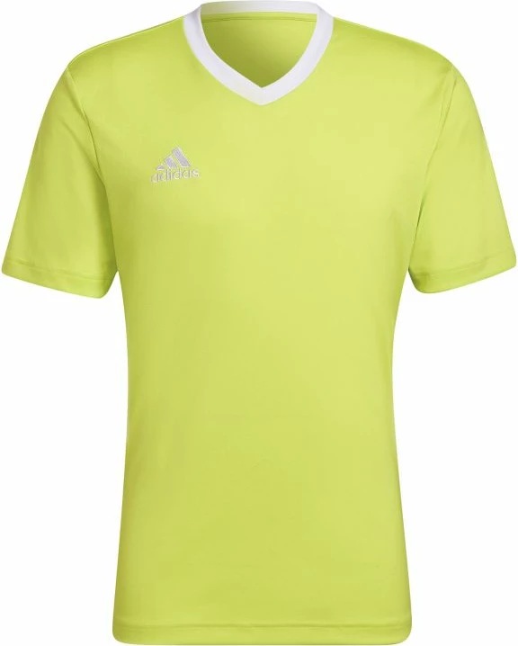Maicë futbolli për meshkuj adidas, e gjelbër