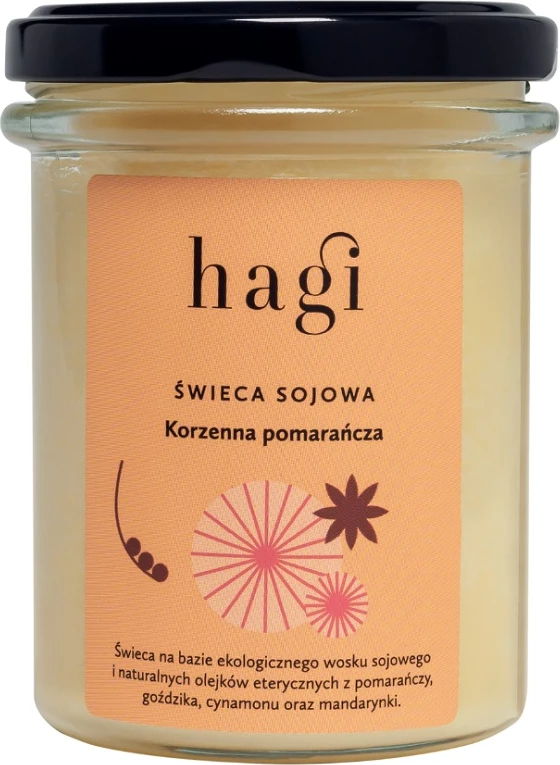 Qiri aromatik Hagi Cinnamon Orange 215ml