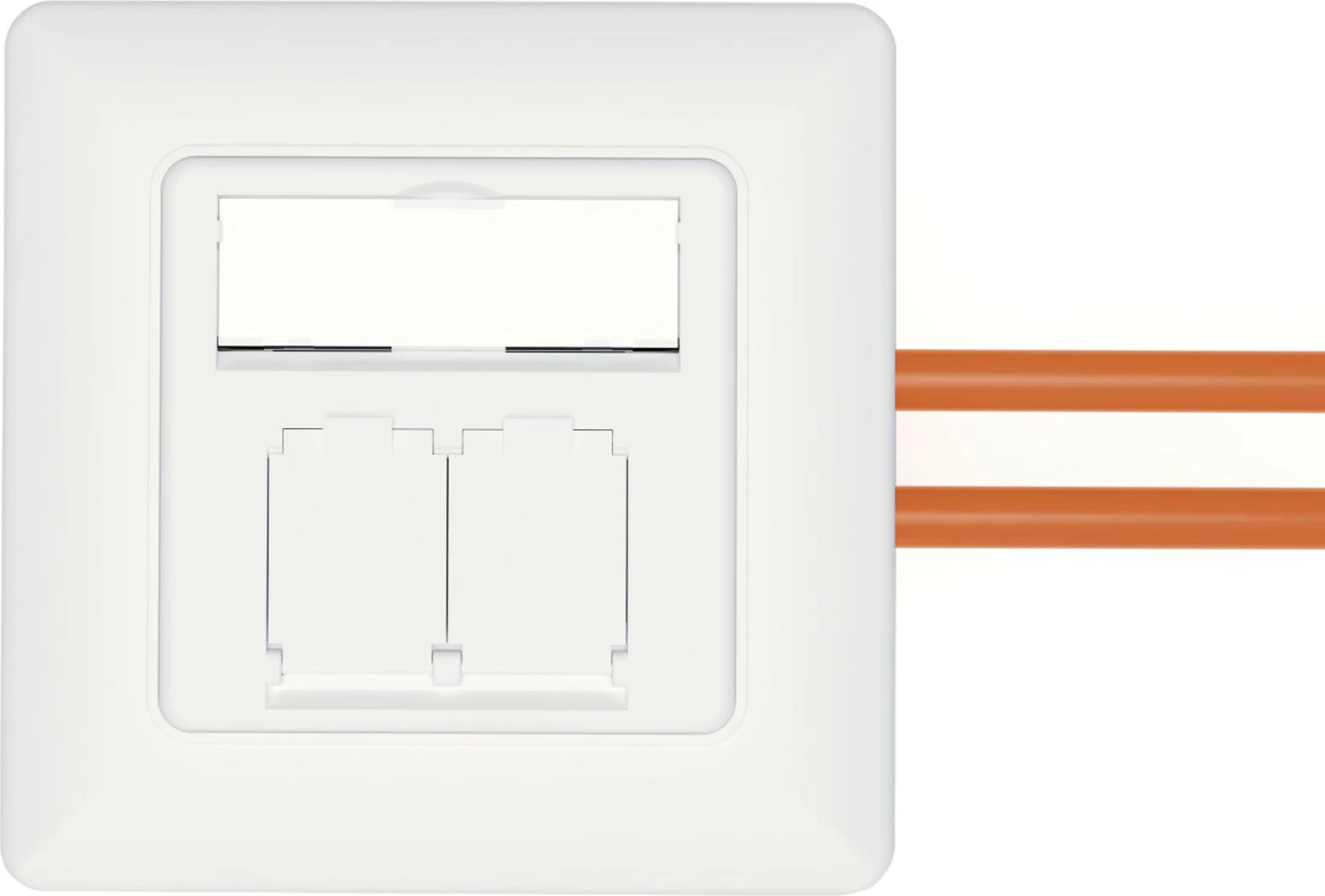 Prizë rrjeti Digitus CAT 6A EA, 2xRJ45, e bardhë
