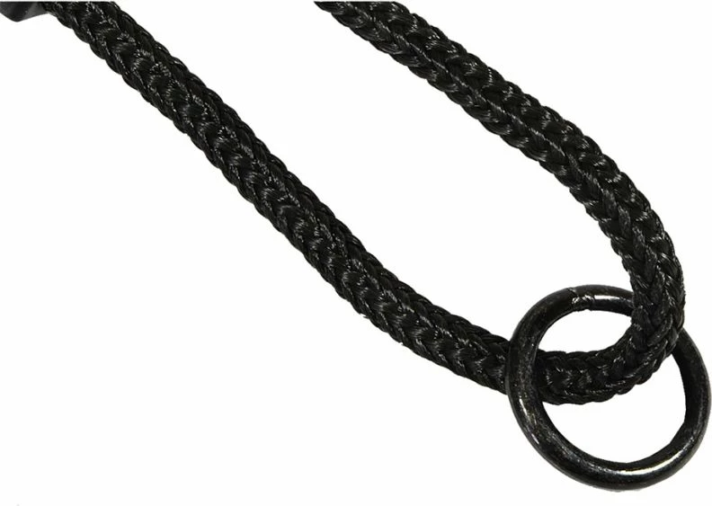 Lëkundëse fole lejleku Inny, zi e kaltër