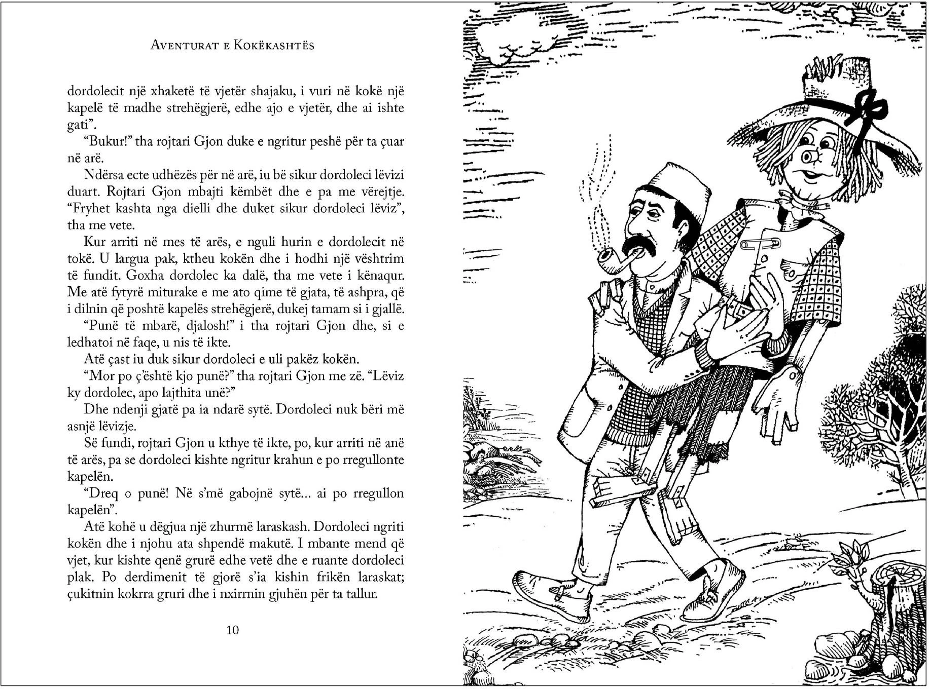 Aventurat e Kokekashtes