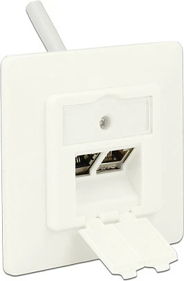 Prizë muri RJ-45 DeLOCK 86219, 2 porta Keystone, 80x80 mm, e bardhë