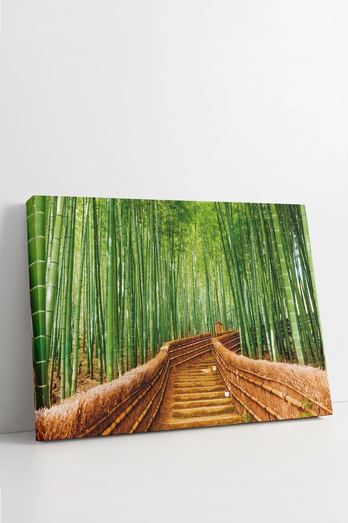 Pikturë dekorative në kanavacë, shumëngjyrëshe, Wallity Ersyfdc33, 50x70cm
