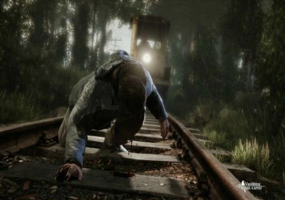 The Vanishing of Ethan Carter EN Global