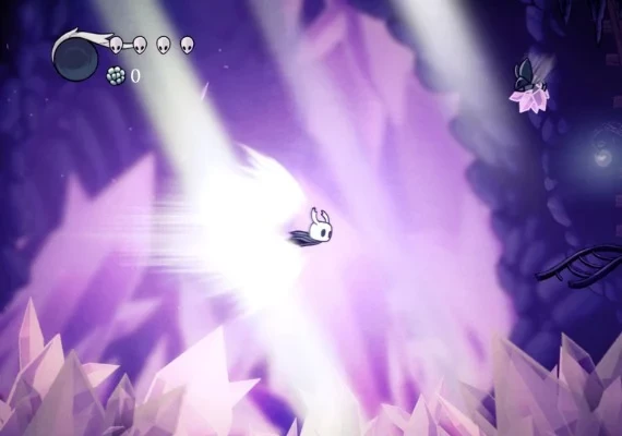 Hollow Knight EN Global