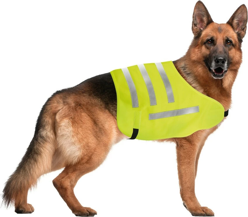 Jelek Sigurie Per Qen L