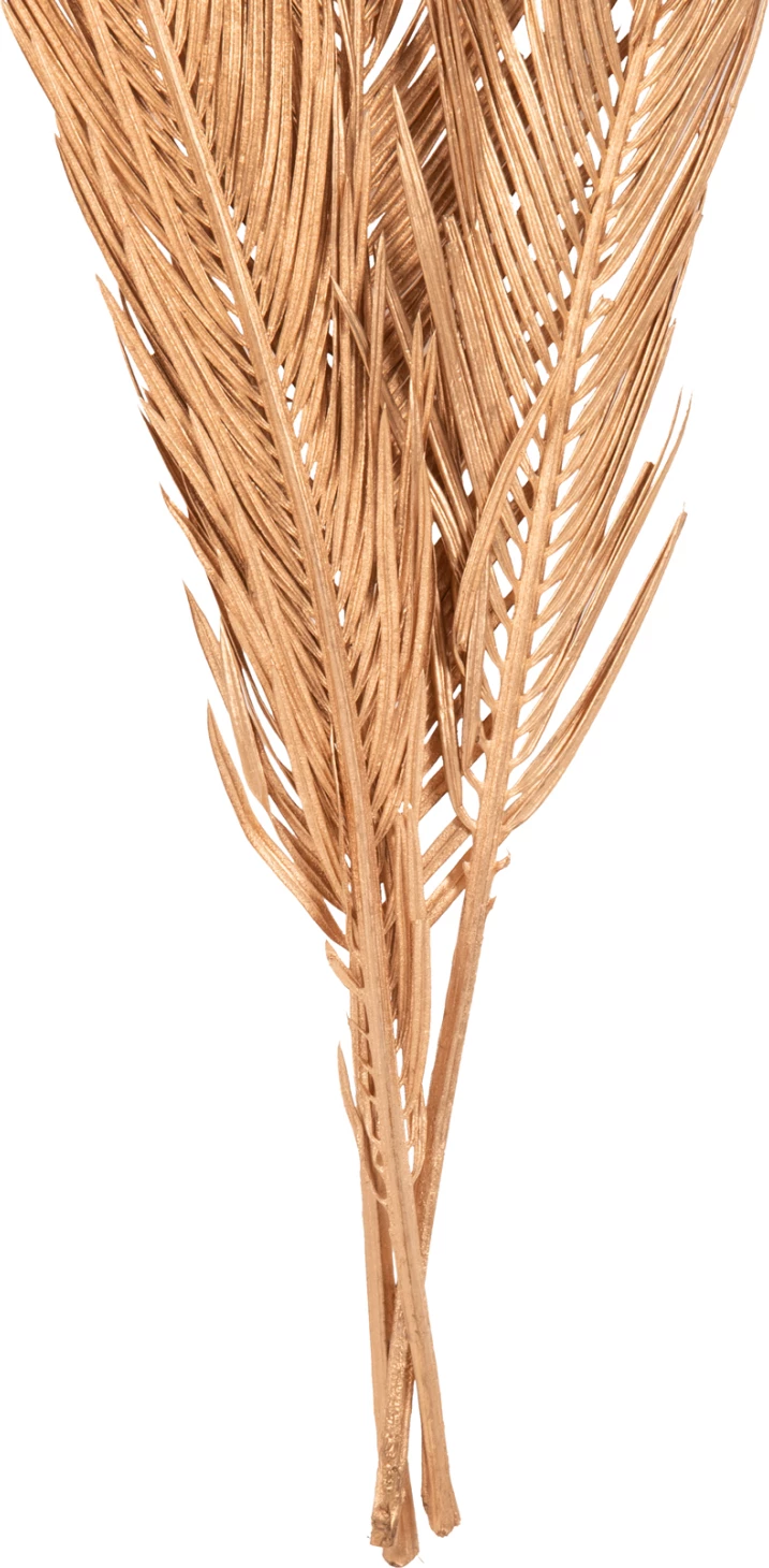 Set dekorativ me 3 gjethe të thara palme FH7958, ngjyrë ari, 110 cm