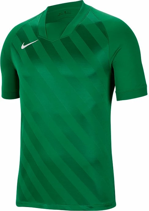 Maicë Nike për meshkuj, e gjelbër
