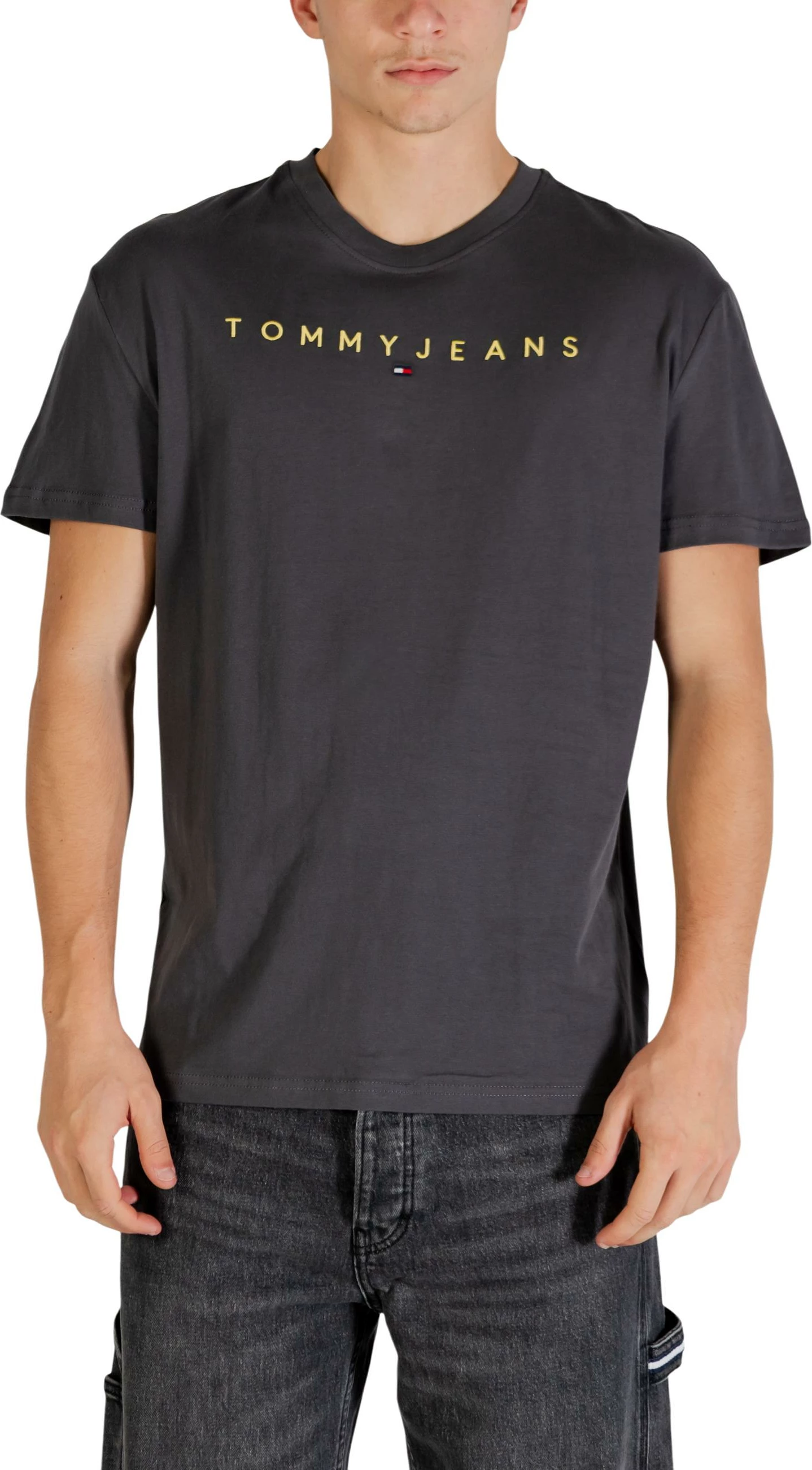 Maicë për meshkuj Tommy Hilfiger Jeans TJM REG LINEAR LOGO DM0DM20744, antracit [Madhësia: XL]
