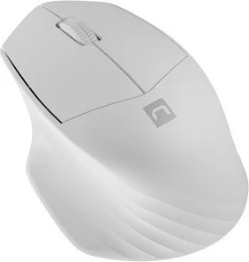 Maus Natec, Siskin 2, hiri