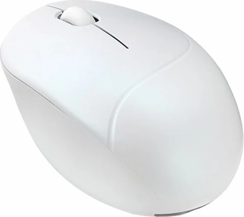 maus wireless Asus MD101 Fragrance, i bardhë