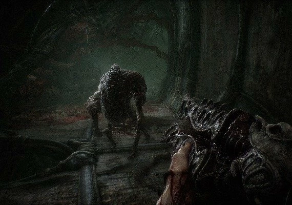 Scorn Deluxe Edition Global