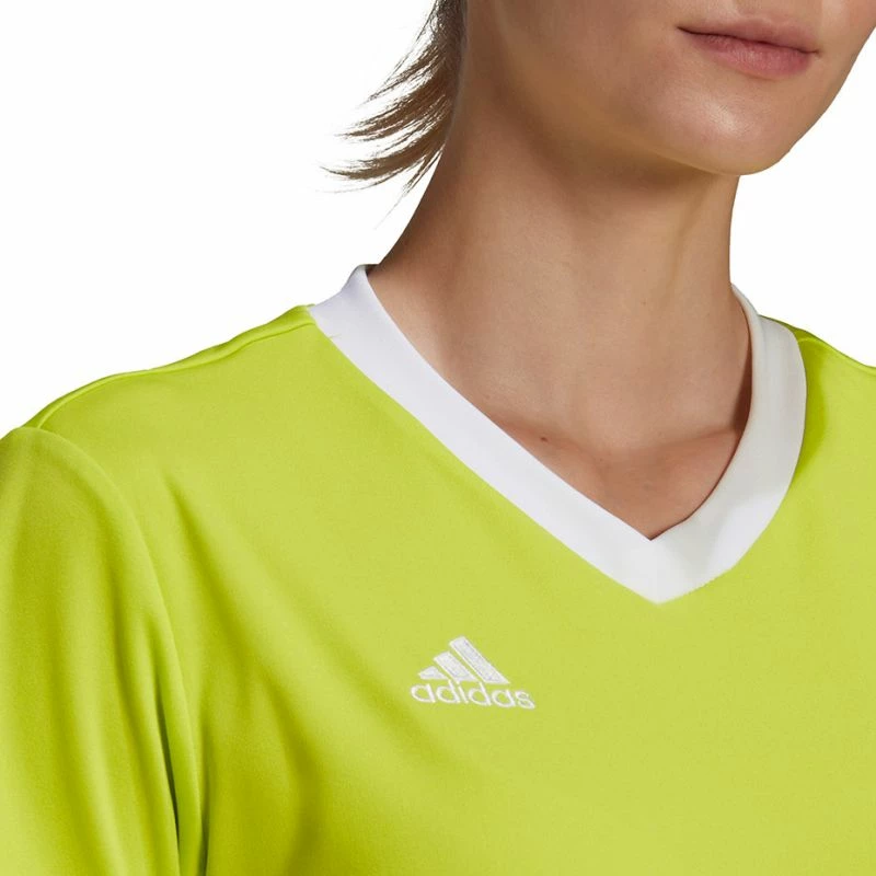 Maicë për Femra adidas Entrada 22 Jsy, ngjyrë jeshile HC5080 [Madhësia: XS]