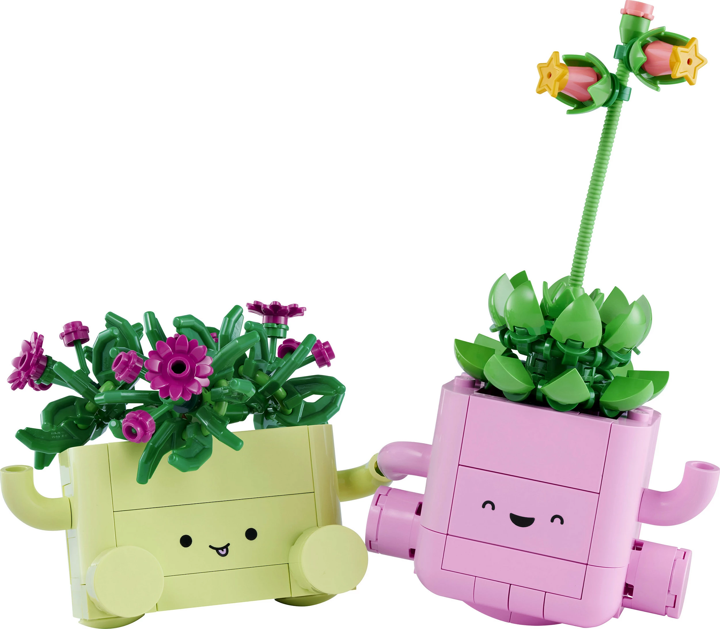Set LEGO Botanicals Rocking Plants 11506, 253 copë, multikolor