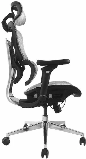 Karrige zyre ergonomike EQUIP, gri