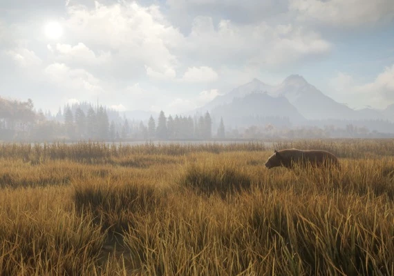 Call of the Wild - Bundle EN Global