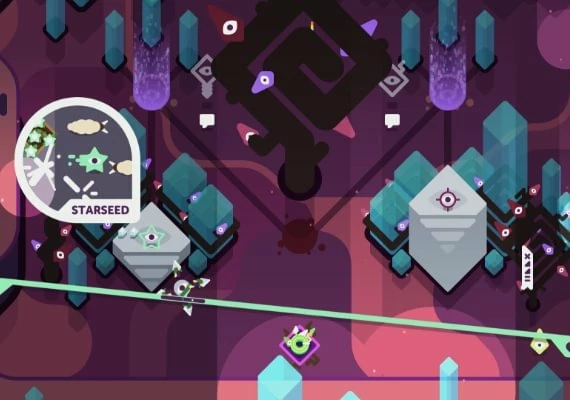 TumbleSeed EN Global