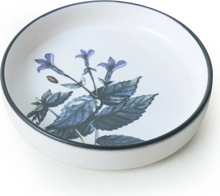 Set tasash për salcë, Hermia Concept, 6 copë, X00018725