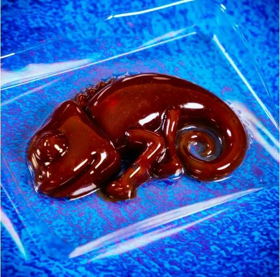 Set shkencor Lisciani Crazy Science Slime Kameleon, 50 ngjyra, për fëmijë