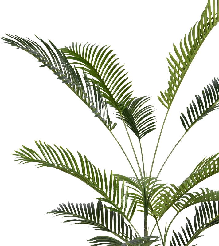 Bimë dekorative Areca III në vazo, ngjyrë e gjelbër, H180cm