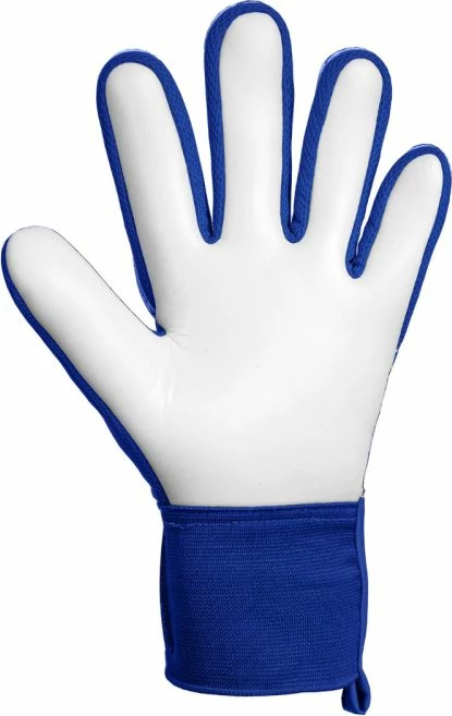 Doreza portieri Reusch Attrakt Starter Solid, të kaltra