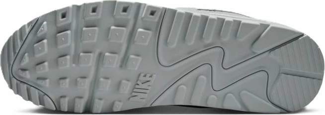 Atlete Nike Air Max 90 DM0029-022