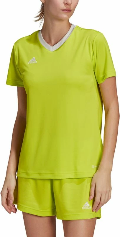 Maicë për Femra adidas Entrada 22 Jsy, ngjyrë jeshile HC5080 [Madhësia: XS]