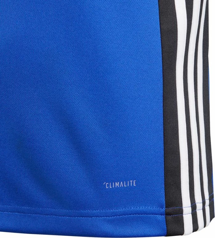 Duks Training për Meshkuj adidas Regista 18, Blu