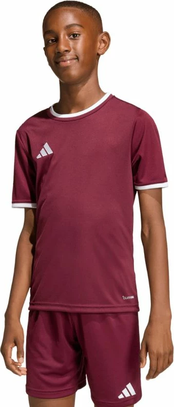 Fanellë futbolli për fëmijë adidas Entrada 26 JZ2530, burgundy