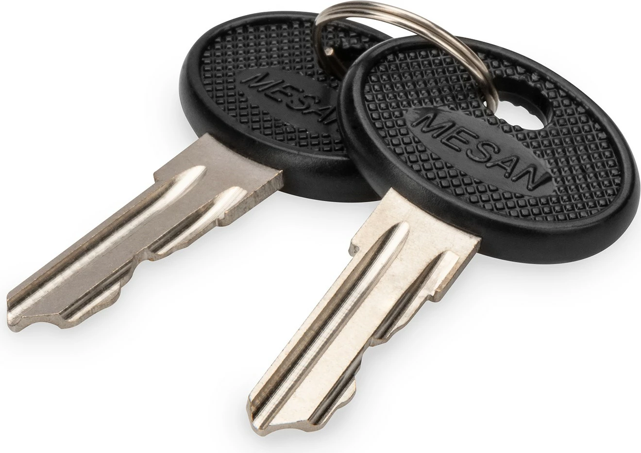 Çelësa rezervë Digitus për kasë rrjeti SOHO PRO DN-1019/DN-DVR-1, 2 copë, zi/argjendtë